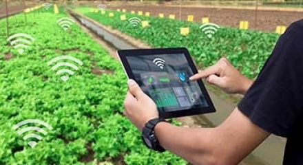 Intelligente Landwirtschaft im LoRa-Netzwerk