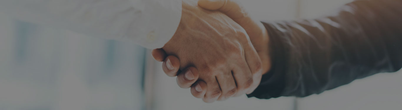 Technology partnership