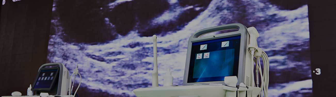 PORTABLE ULTRASOUND SCANNER ECOSYSTEM