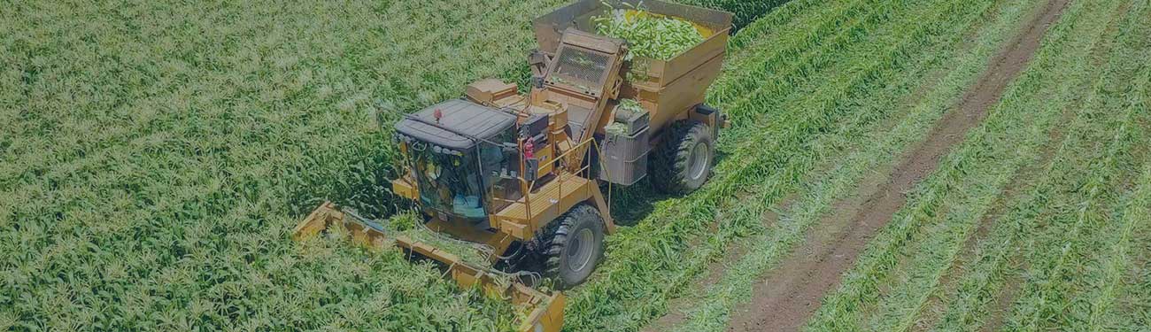 Corn Harvester Development