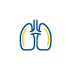 Lungs Airway clearance system 100X100 pixles_colour.png
