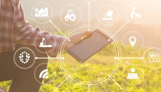 Smart Farming for New-Age Agriculture System