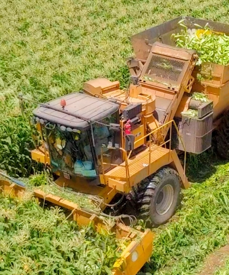 Accelerated Corn Harvester Development for Optimized Farming Operations Accelerated Corn Harvester Development for Optimized Farming Operations
