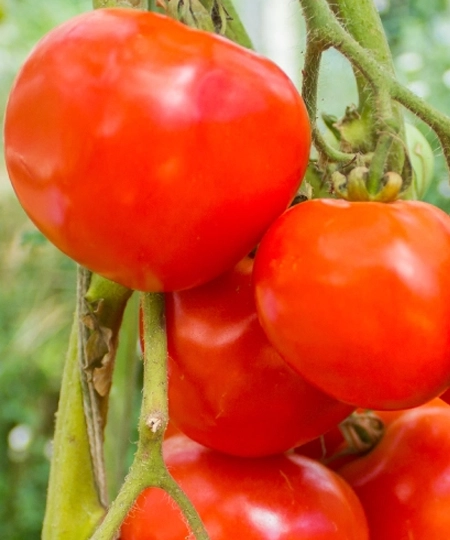 Engineering Smart Farming Engineering Smart Farming