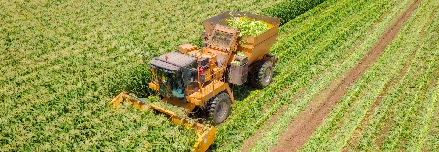 Corn Harvester Development