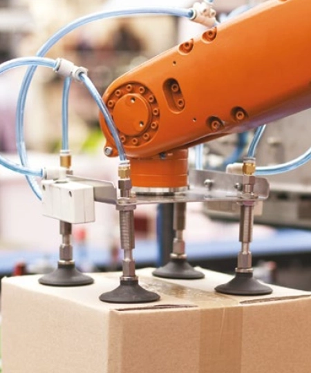 Transforming Packaging Capabilities: A CPG Perspective