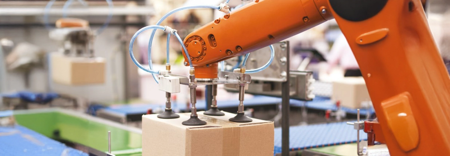 Transforming Packaging Capabilities: A CPG Perspective
