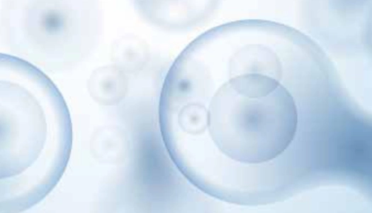 Stem Cell Colony Identification and Its Behavior Analysis