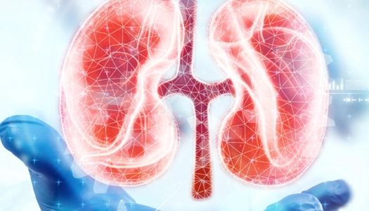 Next-Gen Surgical Stapler in Nephrectomy