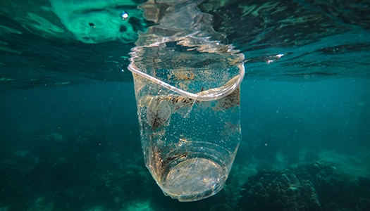 Plastic Degradation
