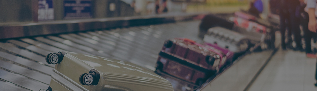 Denver international airport baggage handling system project management picture