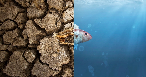 Science Based Targets for a Sustainable Future: How SBTi is Unlocking Business Value Across the World Science Based Targets for a Sustainable Future
