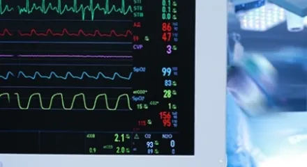パーフルオロおよびポリフルオロアルキル物質（PFAS）