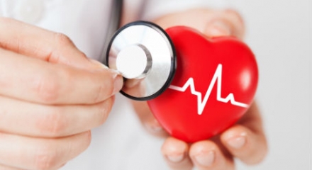 Heart