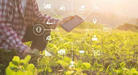 Smart Farming 